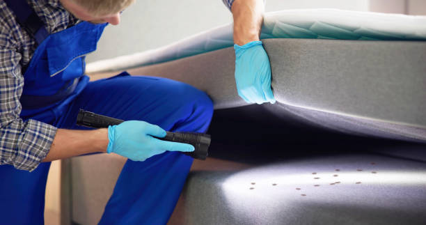 Best Pest Control Near Me  in Westport, NC