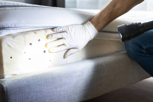 Best Pest Prevention Services  in Westport, NC